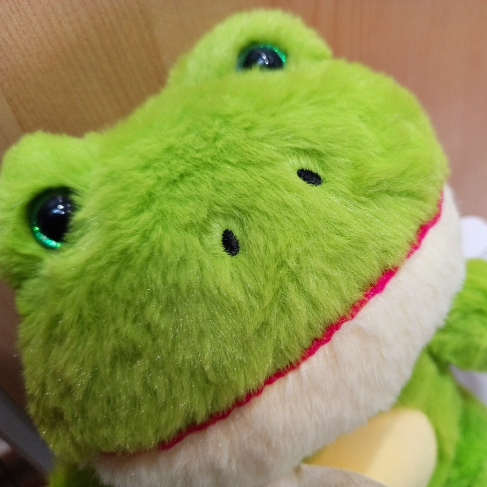 Green Frog 9.5" Plush Toy 🐸